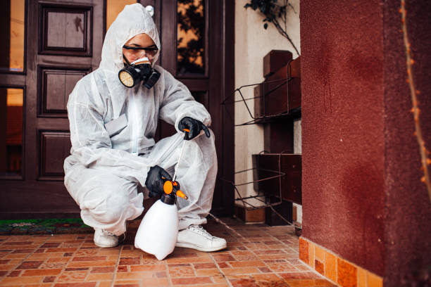 Reliable Wasp Removal contractor in West Baraboo, WI by Show Me Pest Control